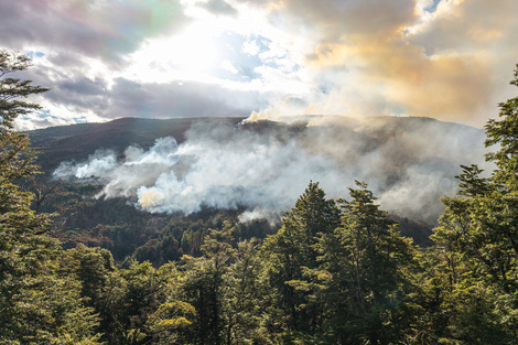 Por los incendios forestales, varios músicos organizaron un festival solidario 