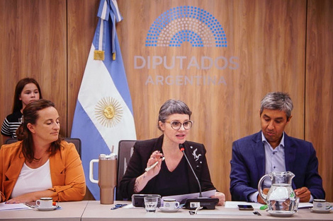 La diputada de Unión por la Patria, Gisella Marziotta, encabezó la reunión. 