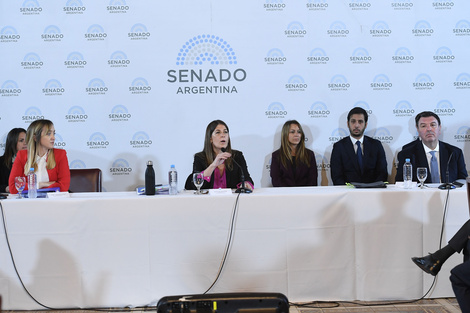 Ariel Lijo en la audiencia pública realizada el 21 de agosto pasado.