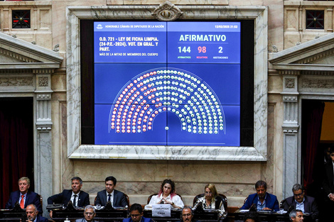 Las dos abstenciones fueron de Miguel Ángel Pichetto y Nicolás Massot, del bloque Encuentro Federal.  (Fuente: NA)