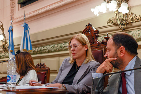 La vicegobernadora Gisela Scaglia presidió la Asamblea legislativa.