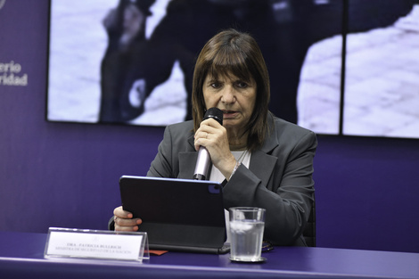 Bullrich dijo que tienen "menos marihuana en la frontera y mucha más marihuana sembrada en cualquier lugar"