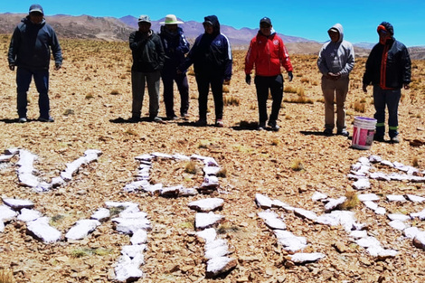 Comunidad kolla objetó el proyecto minero Organullo