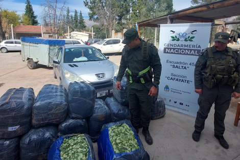 La Justicia salteña desestima los casos de traslado de hojas de coca