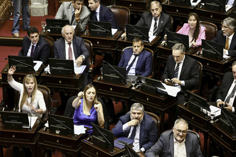 Se multiplican las expresiones de rechazo en el Senado.