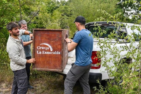 La Esmeralda cumple un rol clave en la recepción de fauna silvestre.