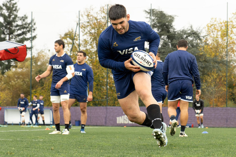 Los Pumas y un año cargado de competencia