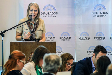 Ursula Basset en una intervención en la Cámara de Diputados. 