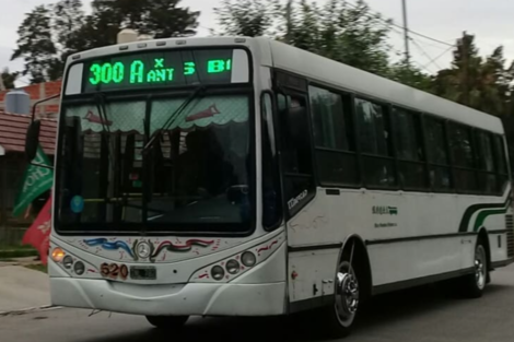 Paro de colectivos en el sur del GBA: estas son las líneas afectadas