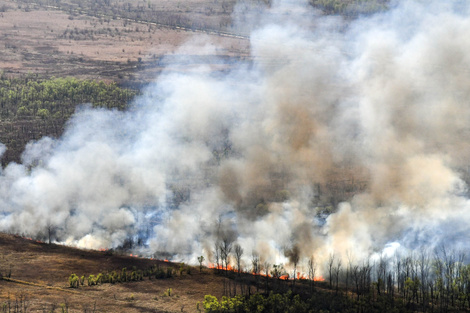 Sobreseyeron a los acusados de incendiar islas del Delta del Paraná en 2020