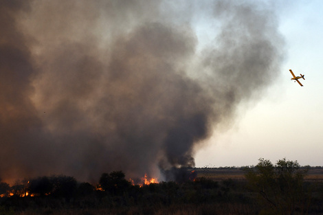 En 2020, las islas de Victoria sufrieron quemas con importantes consecuencias. 