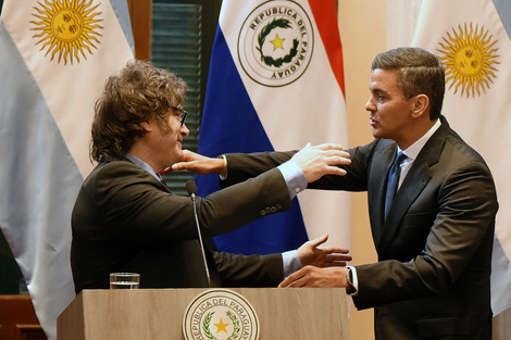 Milei viajó a Paraguay en busca de un aliado para enfrentar a Lula en el Mercosur