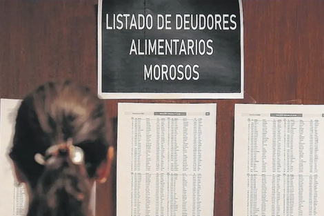 Los deudores alimentarios no podrán cobrar honorarios ni dividendos en empresas