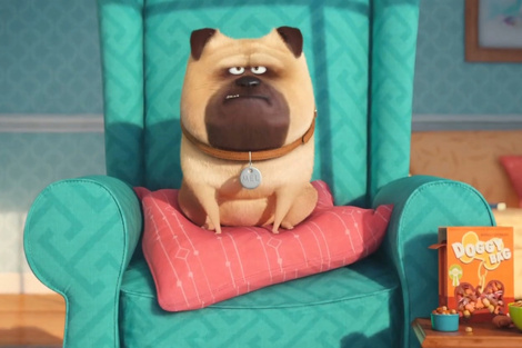 Películas con mascotas como protagonistas para celebrar el Día del Animal en Argentina