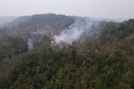 La Corte brasileña autoriza la expropiación de haciendas vinculadas a incendios forestales