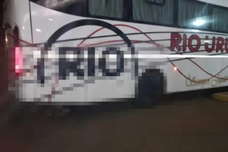 Un micro arribó a una terminal arrastrando un cadáver