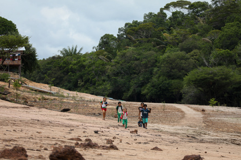 La Amazonía ecuatoriana, bajo alerta epidemiológica