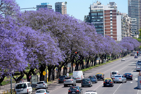 CABA: promueven un "compromiso ambiental" de cara a las legislativas