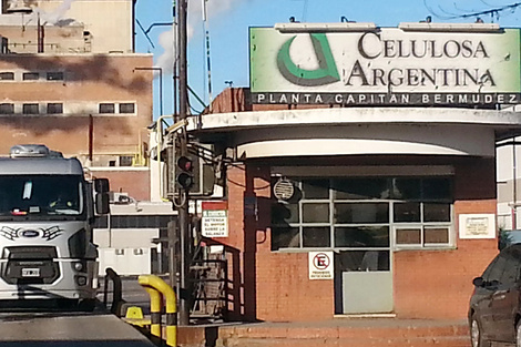 Celulosa no aguantó el modelo de Milei