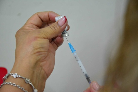 Ecuador empieza a pedir certificado de vacunación contra la fiebre amarilla