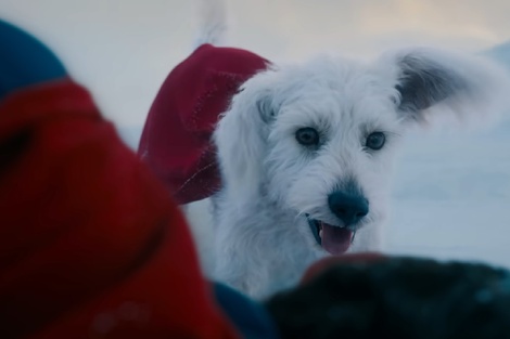 Cómo James Gunn convirtió animales en los héroes que amamos en Marvel y DC 