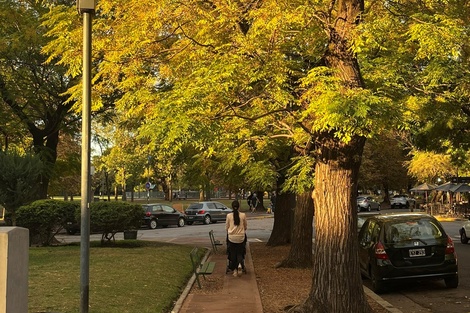 Clima en Buenos Aires: el pronóstico del tiempo para este miércoles 14 de mayo