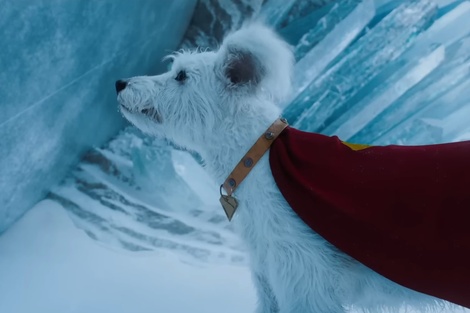Krypto: el superperro que promete robar el show en la nueva era de "Superman"