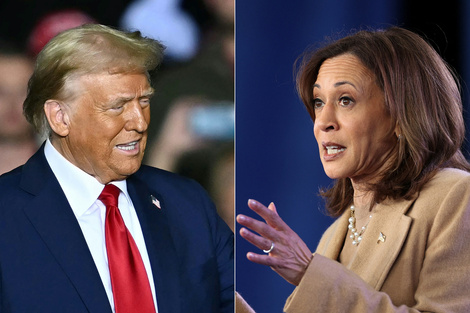 "Investigación a fondo": Trump quiere saber todo sobre el "apoyo de las celebridades" hacia Kamala Harris