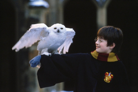 "Harry Potter" llega a la televisión: reparto, argumento y todo lo que sabemos sobre la nueva serie de HBO 