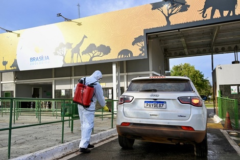 Por la gripe aviar, Brasilia cierra su zoológico y despliega una barrera sanitaria