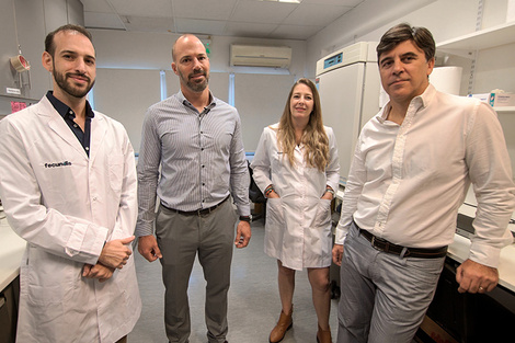 Crean una técnica de reproducción asistida que aumenta el éxito en los tratamientos 