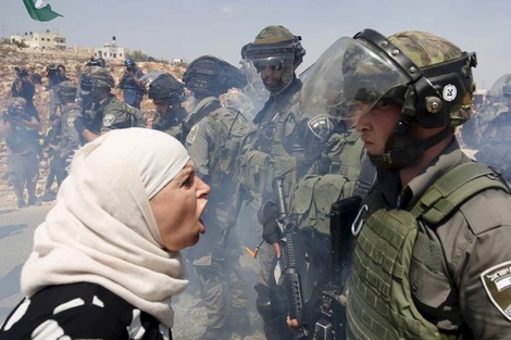 Medio millón de personas en Gaza viven bajo condiciones extremas de hambre, enfermedades y muerte. (Fuente: Imagen web)