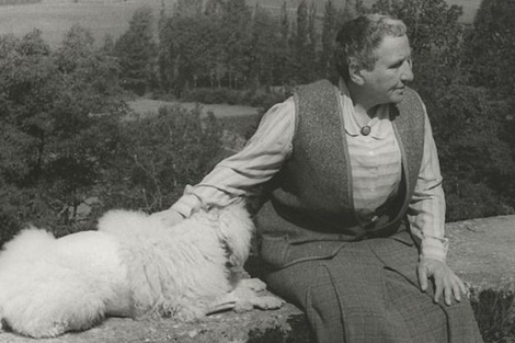Stein y su perro Basket (Fuente: Imagen web)