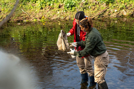 Tareas de voluntariado ambiental.  (Fuente: Gentileza)