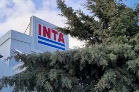 INTA, en la mira del ministro desmantelador 