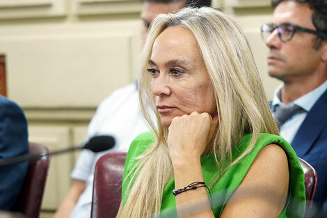 La titular del MPA, María Cecilia Vranicich (Fuente: Archivo)