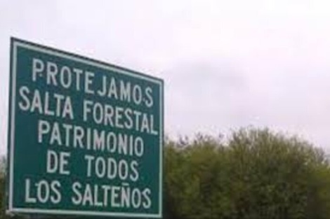 Sáenz envió un proyecto para renegociar contratos en Salta Forestal