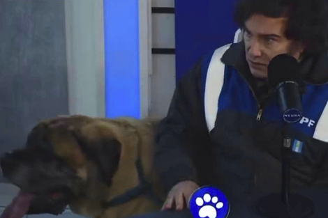Javier Milei apareció con su perro Conan en un programa de streaming