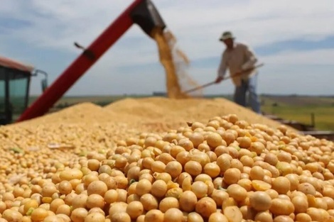 Productores furiosos con el Gobierno por la suba de las retenciones 