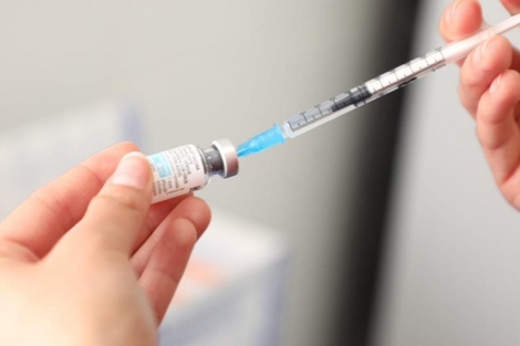 Brasil avanza con su vacuna contra la gripe aviar