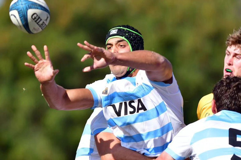 Los Pumas cayeron 35-12 la semana pasada (Fuente: Prensa)