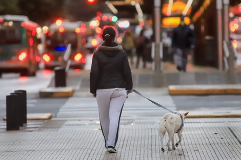 Clima en Buenos Aires: el pronóstico del tiempo para este lunes 21 de julio
