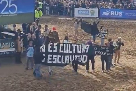 Tensión en La Rural: activistas veganos se manifestaron y fueron escoltados por seguridad