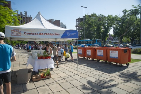 Las jornadas de canje se realizan en distintas plazas. (Fuente: Imagen web)