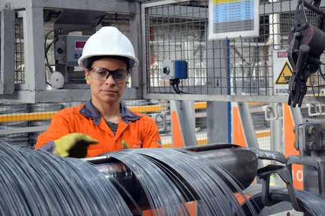 El parate alcanza a sectores clave de la acería como el tren laminador.