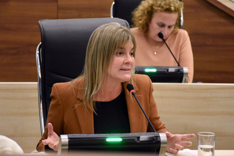 Verónica Irizar apunta a un trabajo integral de prevención de suicidios.  (Fuente: Gentileza)