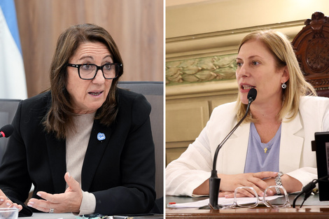 La socialista Fein y Scaglia del PRO, avalan el nuevo frente federal.