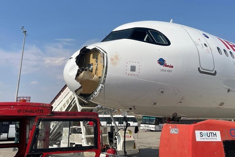 Aunque los choques con aves (bird strikes) son eventos relativamente frecuentes en la aviación civil, rara vez generan consecuencias graves