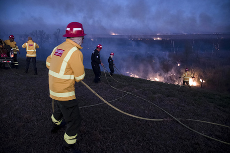 Como ocurrió en las islas del Delta desde 2020, los incencios no son accidentales.  (Fuente: Gentileza)