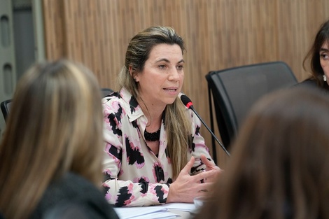 La crisis en salud mental se produndiza en la Provincia
